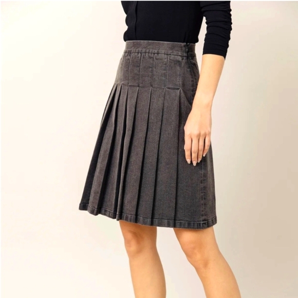 Gray Pleated Midi Skirt no tags( disregard pic) - Picture 1 of 6
